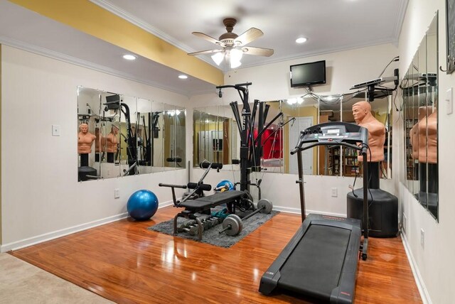 workout room featuring hardwood / wood-style flooring, ceiling fan, and ornamental molding