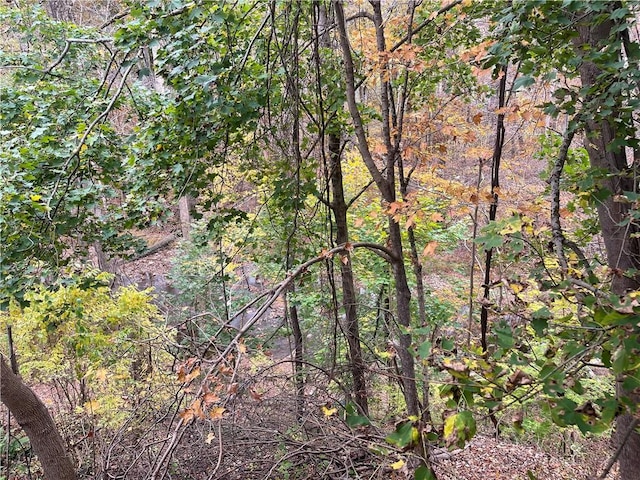 view of local wilderness