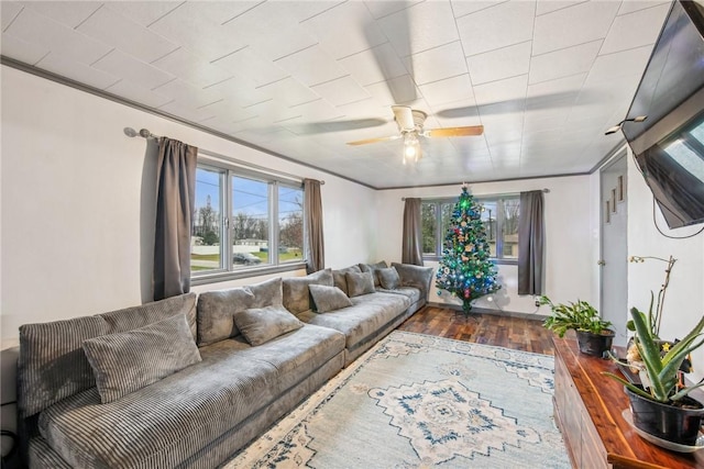 living room with hardwood / wood-style flooring, crown molding, ceiling fan, and a healthy amount of sunlight