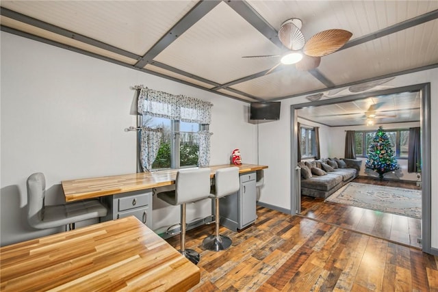 dining area with dark hardwood / wood-style floors and ceiling fan