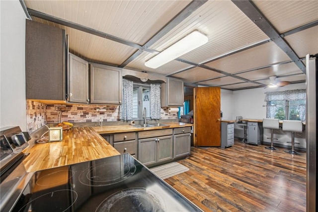 kitchen featuring dark hardwood / wood-style floors, decorative backsplash, sink, and wooden counters