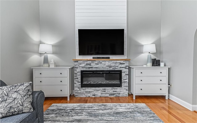 living room featuring a fireplace and light hardwood / wood-style flooring