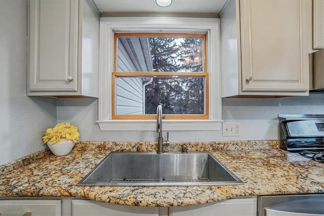 details with white cabinetry and sink