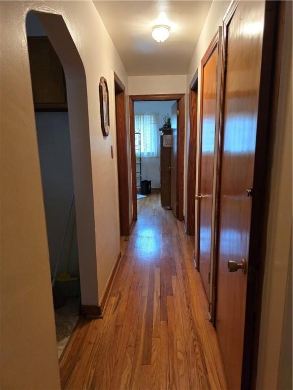 corridor featuring hardwood / wood-style flooring