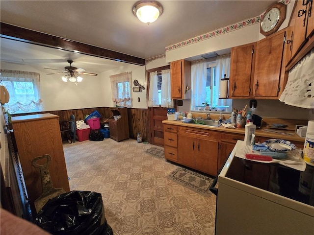 kitchen featuring wood walls, plenty of natural light, and sink