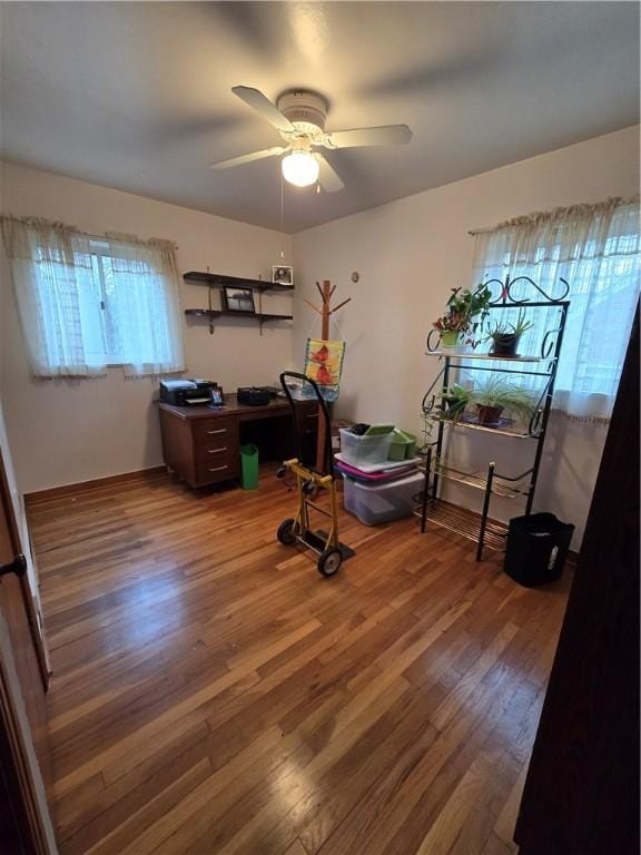 office area featuring hardwood / wood-style flooring and ceiling fan