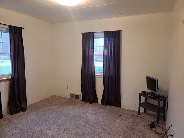 misc room with carpet