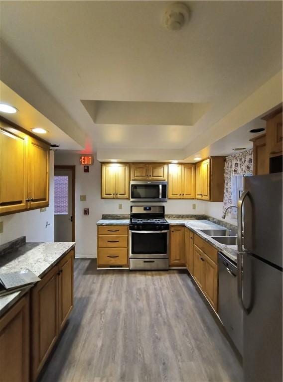 kitchen with dark hardwood / wood-style flooring, sink, and stainless steel appliances