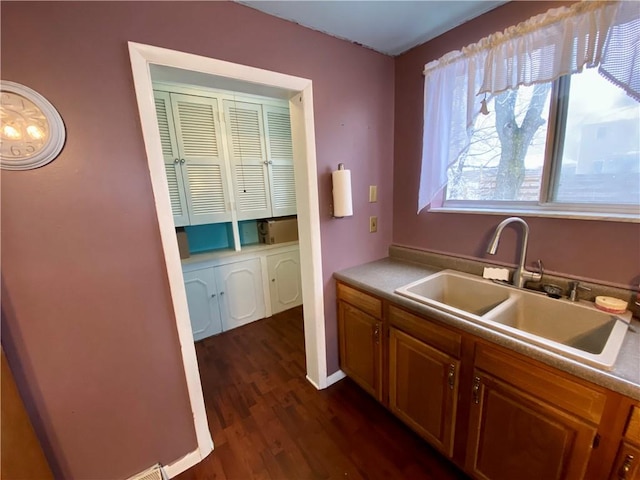 kitchen with sink and dark wood-type flooring