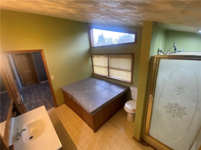 bathroom with vanity, vaulted ceiling, and toilet