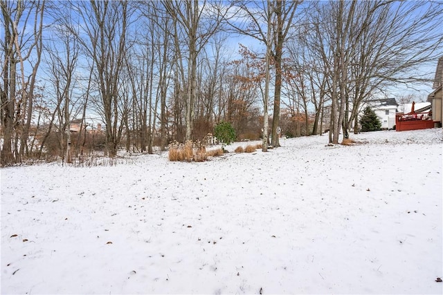 view of snowy yard