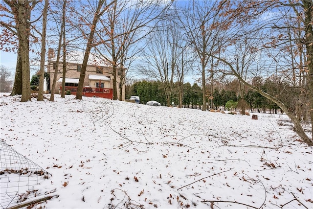 view of yard covered in snow