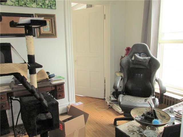 office area featuring wood-type flooring