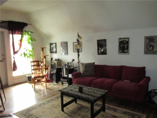 living room featuring hardwood / wood-style flooring and vaulted ceiling