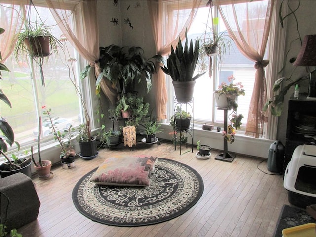 interior space featuring hardwood / wood-style flooring