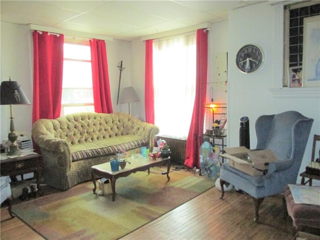 living room with hardwood / wood-style flooring