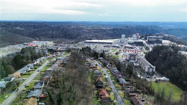 bird's eye view