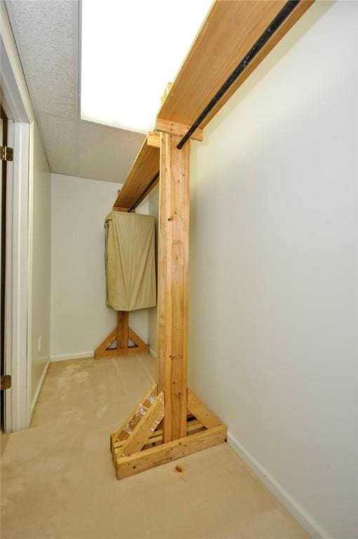 spacious closet with carpet flooring