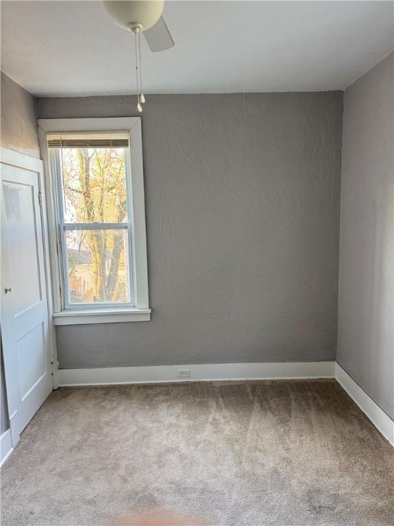 empty room featuring carpet floors