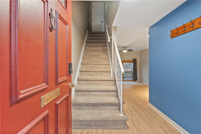 staircase with ceiling fan and hardwood / wood-style flooring