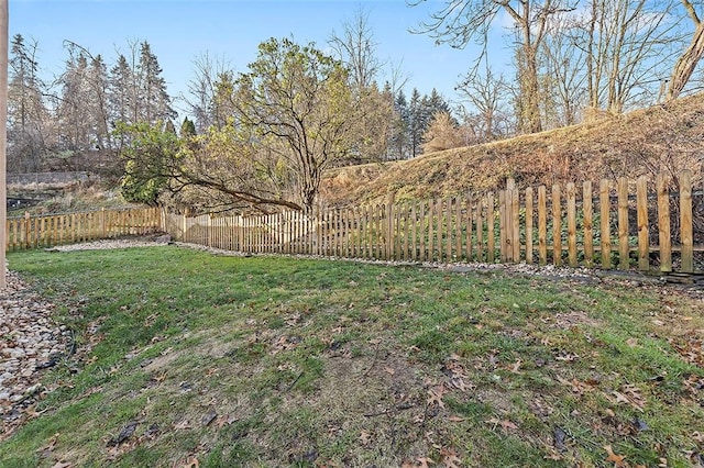 view of yard featuring a fenced backyard