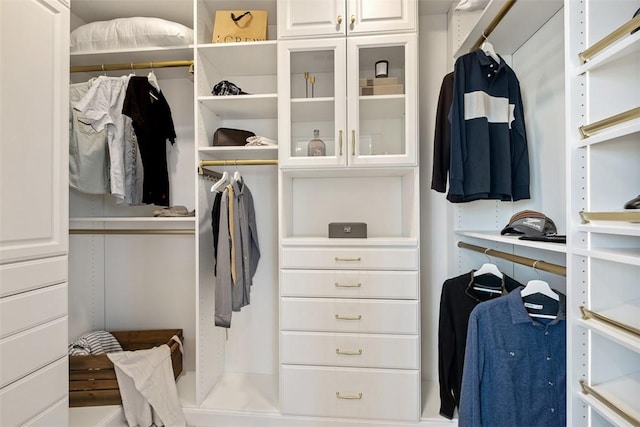 view of spacious closet