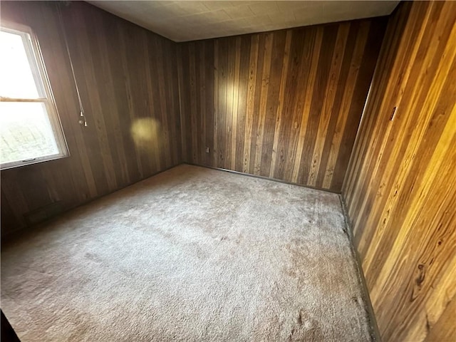 empty room featuring carpet and wooden walls