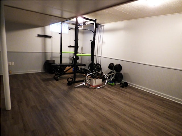 workout room featuring dark hardwood / wood-style flooring