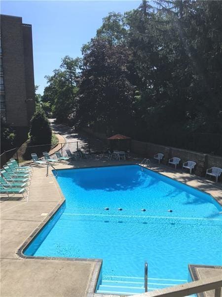 view of swimming pool with a patio area