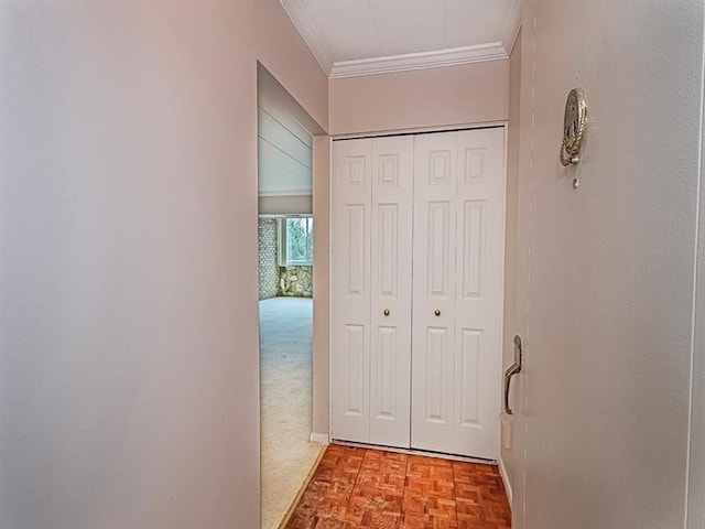 hall featuring crown molding and carpet floors