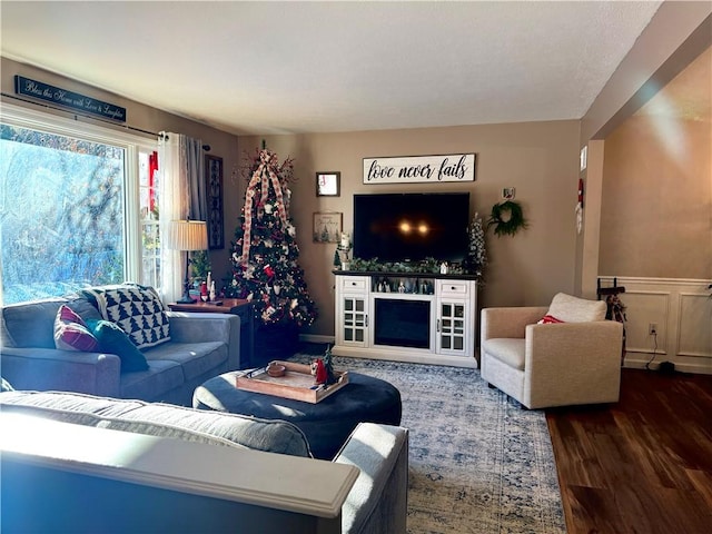 living room featuring hardwood / wood-style flooring