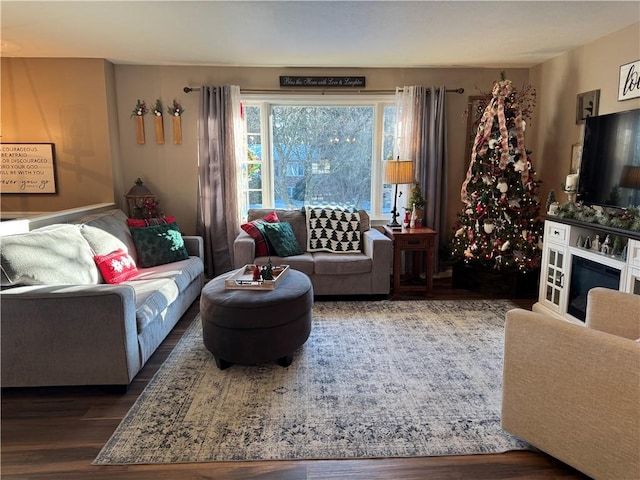 living room featuring dark hardwood / wood-style flooring