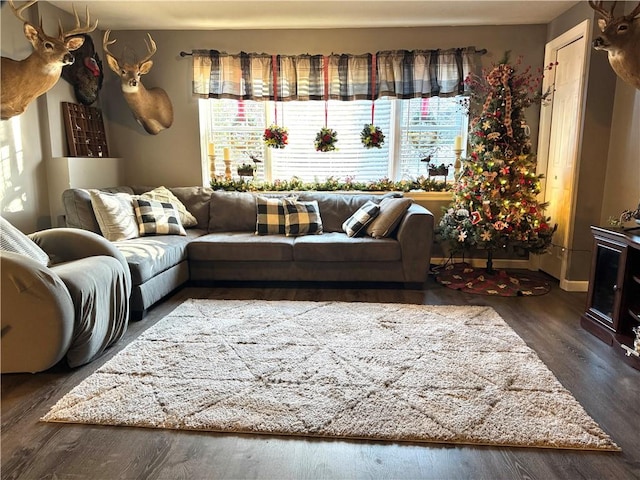 living room featuring dark hardwood / wood-style floors