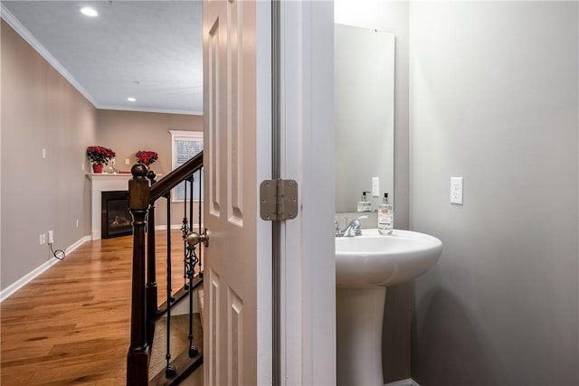 bathroom with sink, wood-type flooring, and crown molding