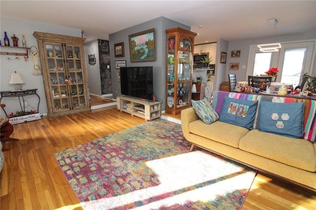 living room with wood-type flooring