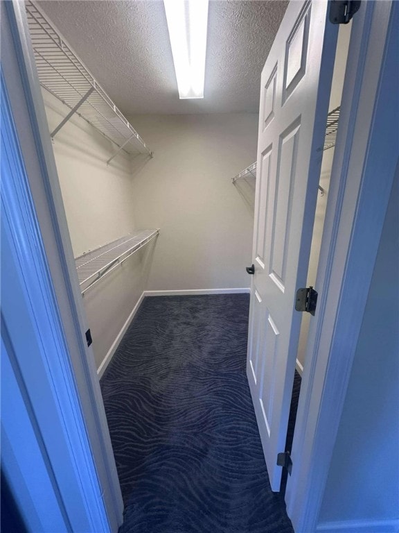 spacious closet featuring dark colored carpet