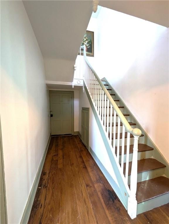 stairs featuring wood-type flooring