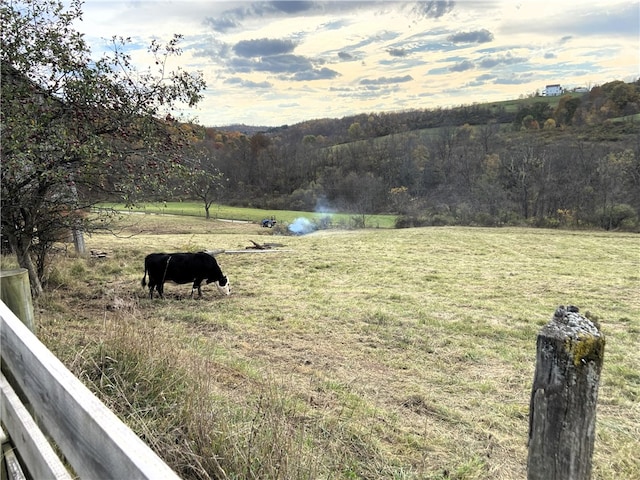 view of yard featuring a rural view