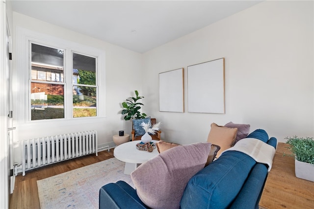 living area with radiator heating unit and wood-type flooring