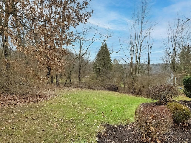 view of local wilderness