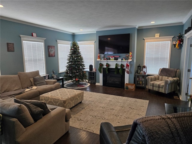 living room with a textured ceiling, dark hardwood / wood-style floors, and crown molding