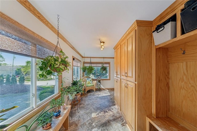 mudroom with ornamental molding and a wealth of natural light