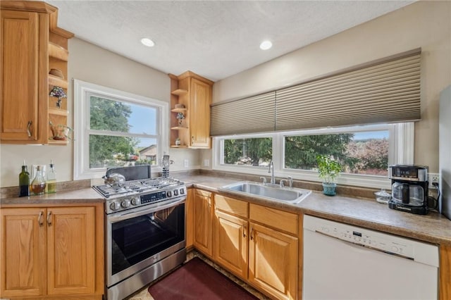 kitchen featuring sink, dishwasher, plenty of natural light, and high end stainless steel range