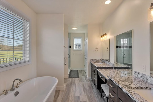 bathroom featuring vanity, independent shower and bath, and hardwood / wood-style flooring