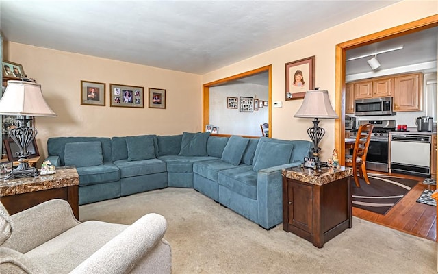 living room featuring light wood-type flooring