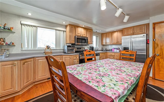 kitchen with light wood-type flooring, stainless steel appliances, and plenty of natural light