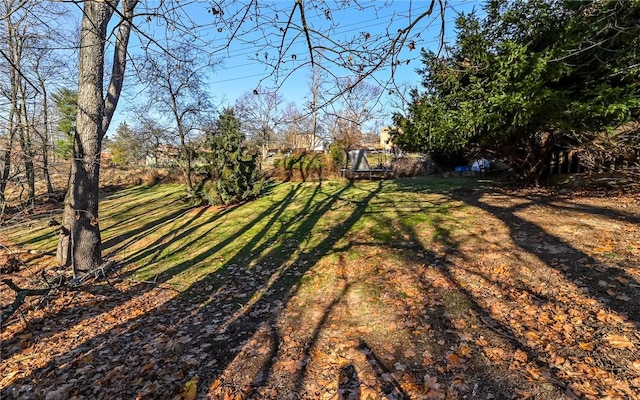 view of yard with a trampoline