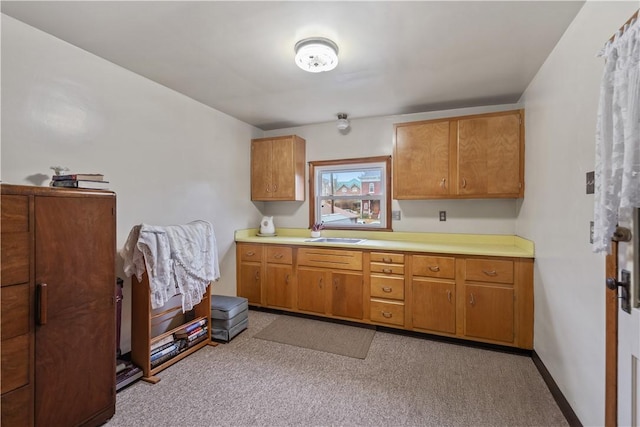 kitchen with light carpet and sink