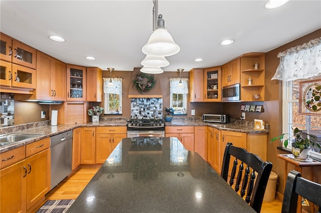 kitchen with decorative light fixtures, stainless steel appliances, plenty of natural light, and light hardwood / wood-style floors