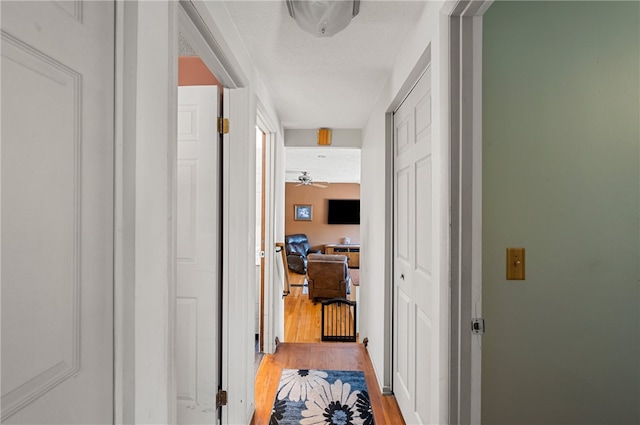 hallway featuring light hardwood / wood-style floors